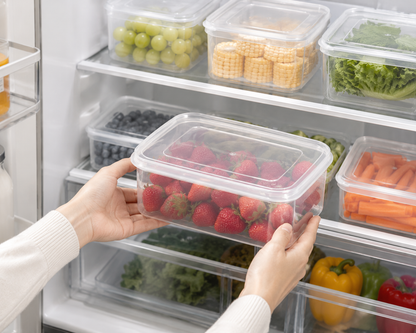 Heavy-Duty 6L Food Storage